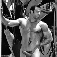 Muscle man naked - Picture 4