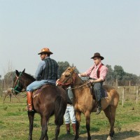 Guy tasting cowboys' dicks - Picture 3