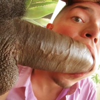 Huge choco cock for this tight gay - Picture 10