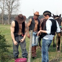 Horny Gay Cowboys - Picture 4